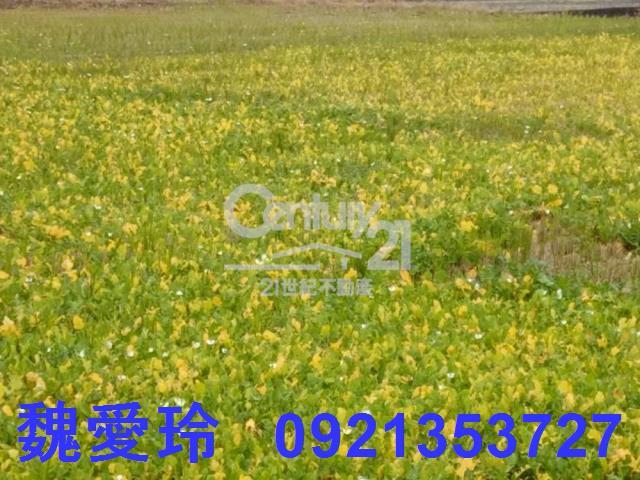 芬園農地-2