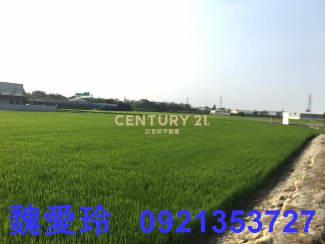 南投農地-0