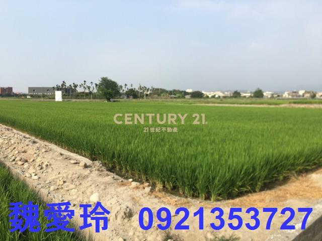 南投農地-2