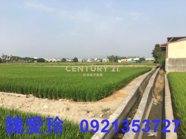 南投農地-4