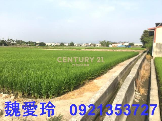 南投農地-6