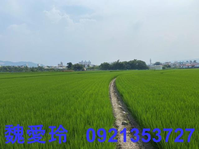 南投草屯農地-0