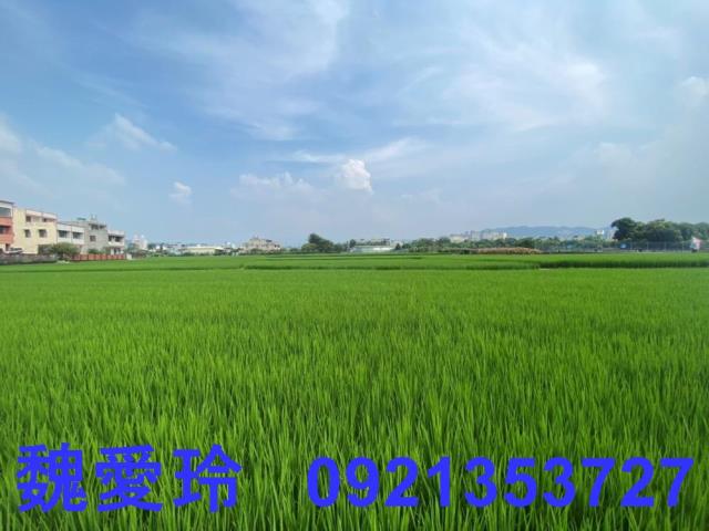 南投草屯農地-1