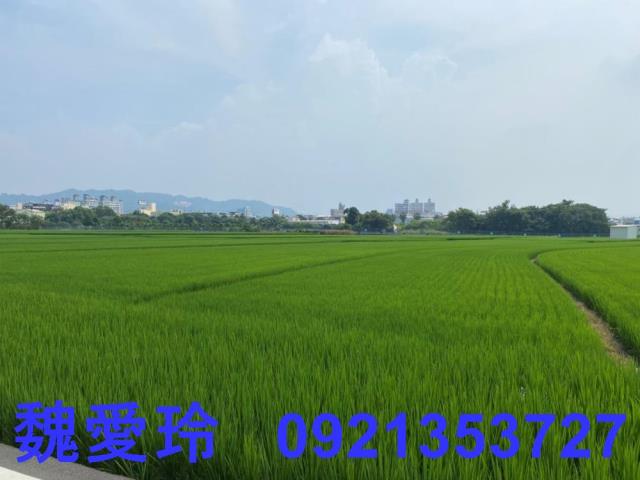 南投草屯農地-8