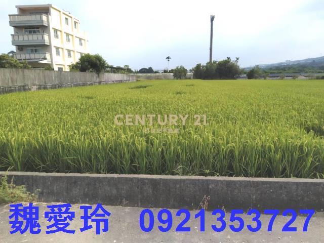草屯農地-0