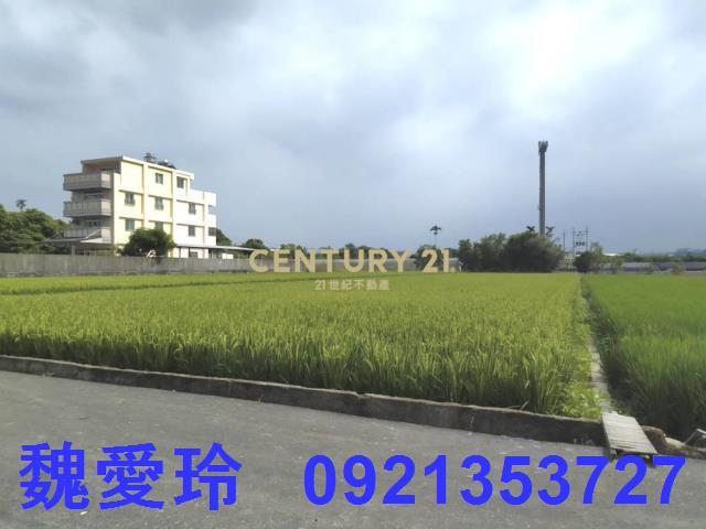 草屯農地-1