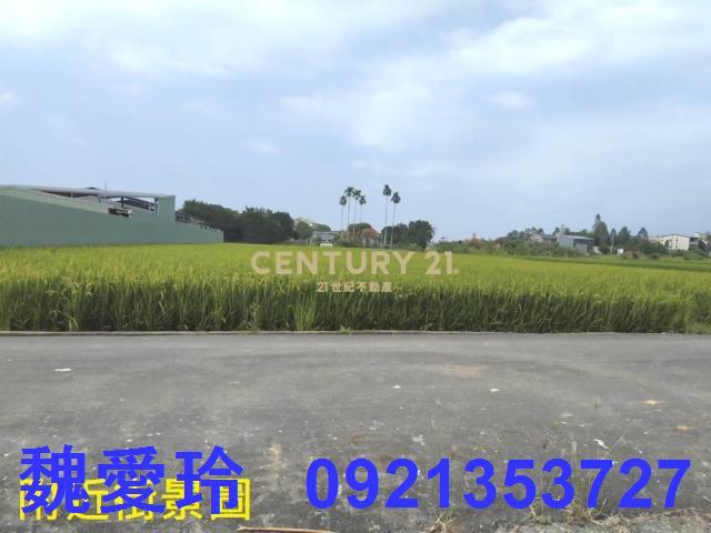 草屯農地-2