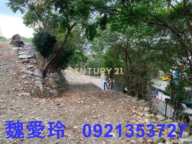 草屯農地-7