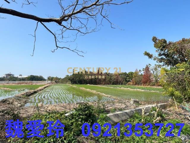 草屯農地-1