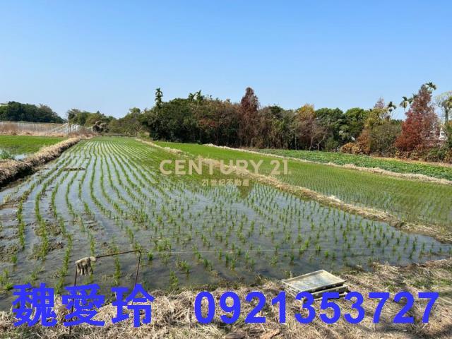 草屯農地-4