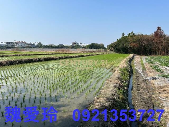 草屯農地-5