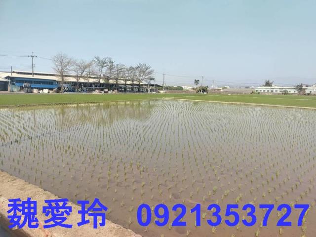 芬園農地-0