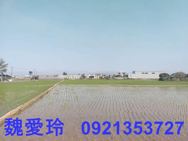 芬園農地-1