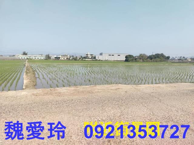 芬園農地-2