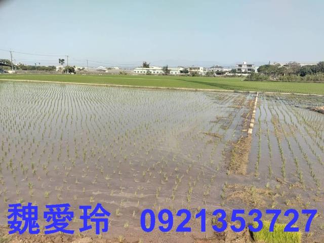 芬園農地-3