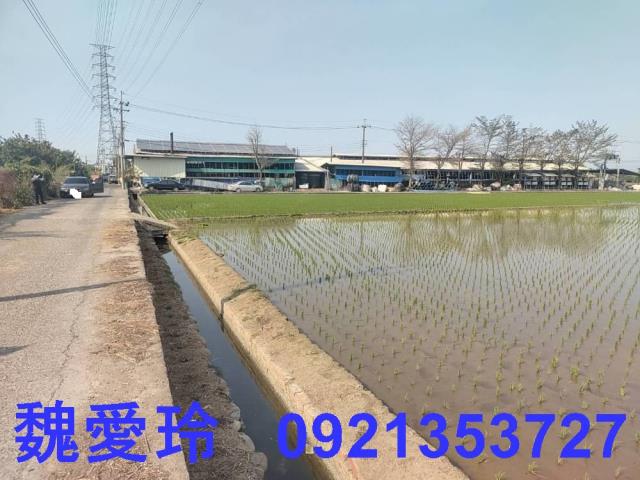 芬園農地-4