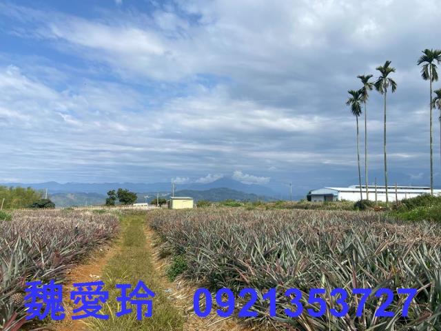 名間農地-2