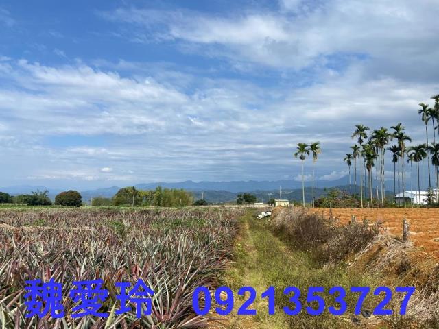 名間農地-3