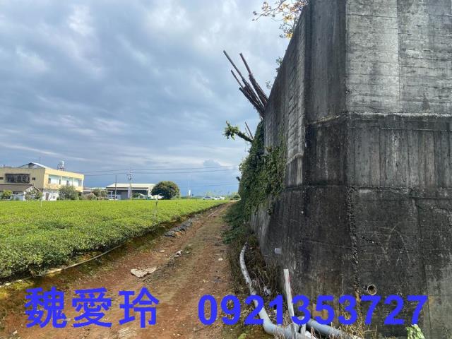名間農地-4