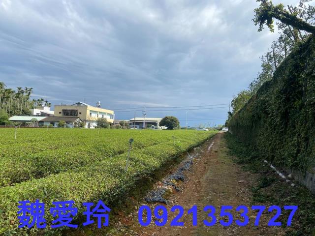 名間農地-6
