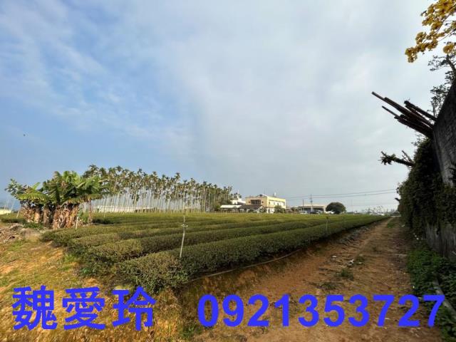 名間農地-8